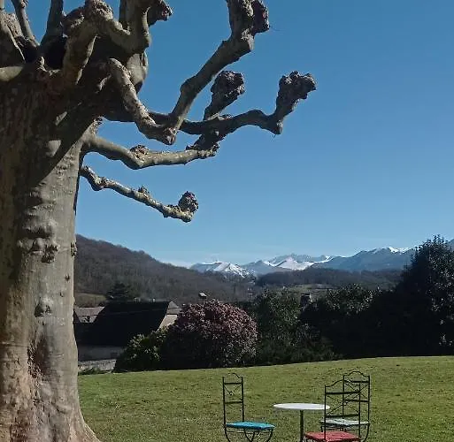 Logement Entier Dans Un Ecrin De Verdure