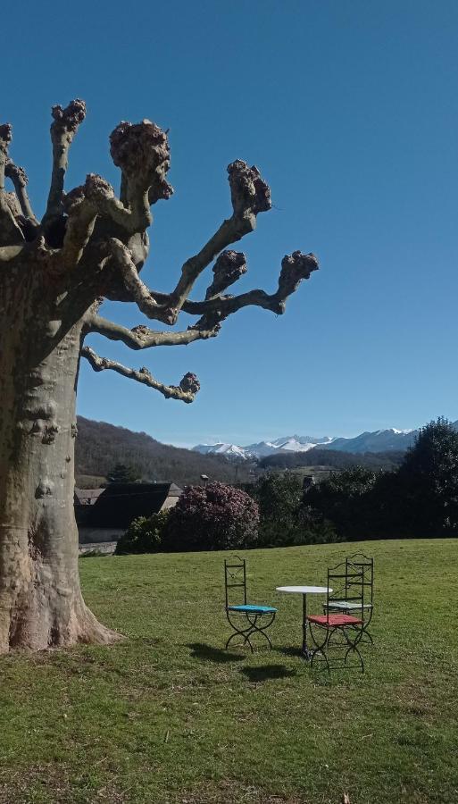 Entier Dans Un Ecrin De Verdure Apartment *